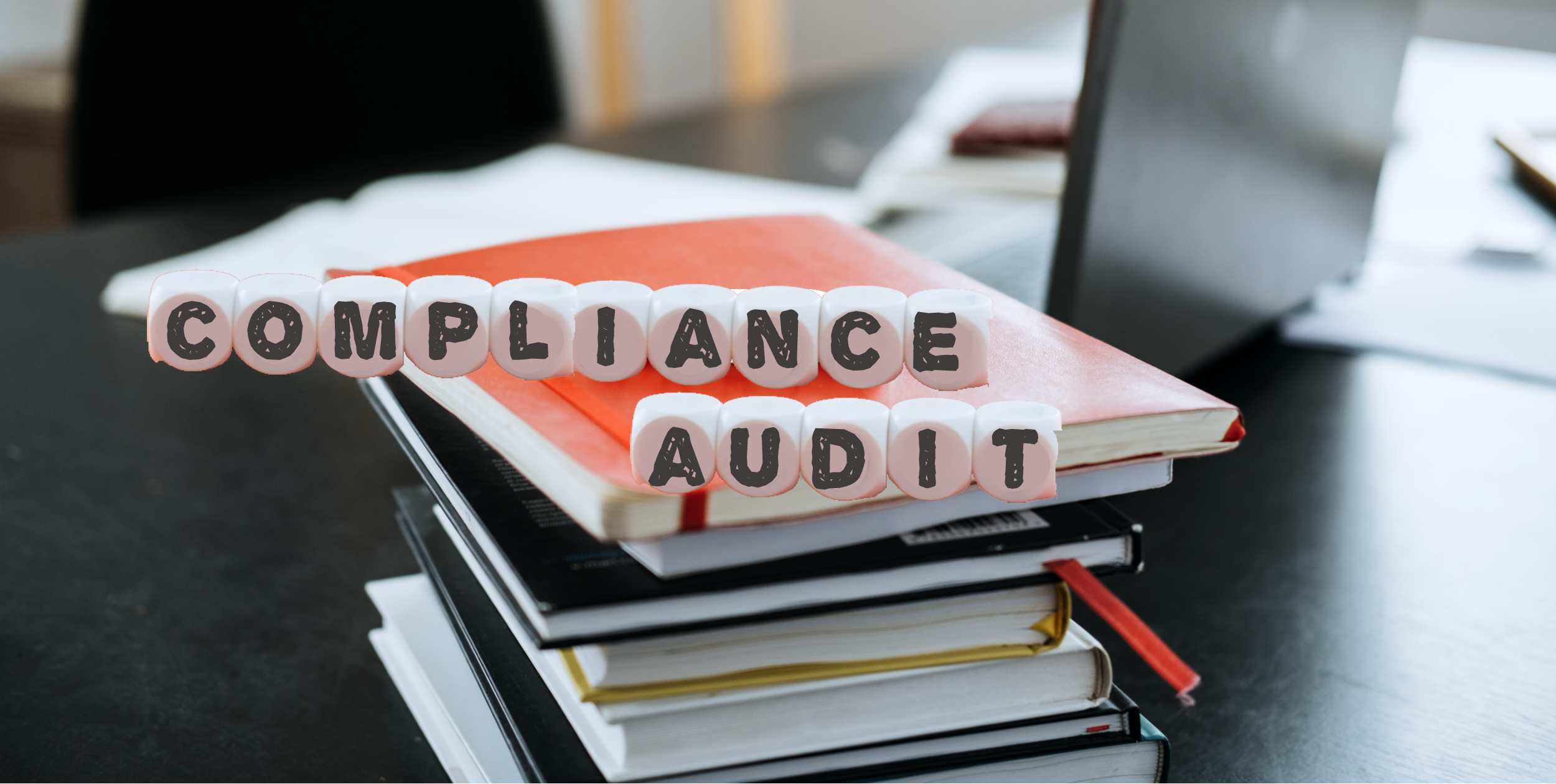 regulator inspecting financial documents